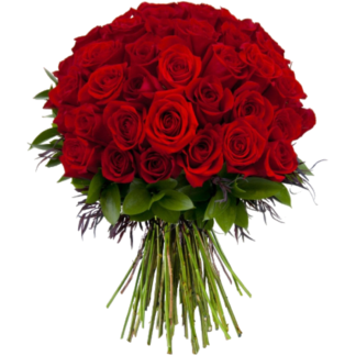 51 red roses | Flower Delivery Pushkino